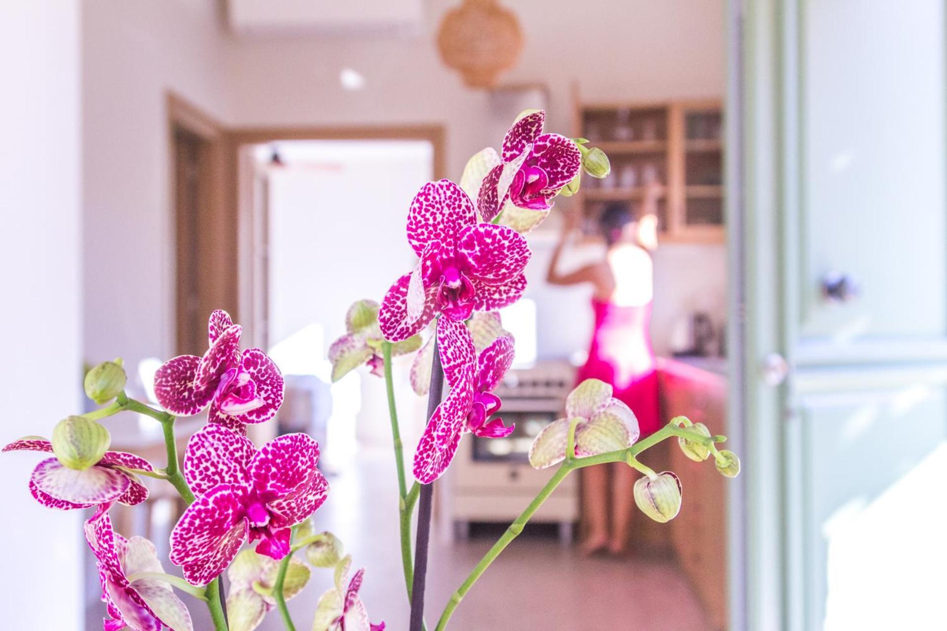 Petra Boutique Villas Arginonda Rom bilde